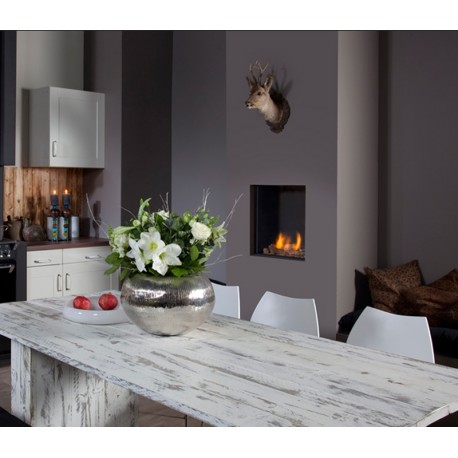 Chimenea de gas FABER Fyn 450